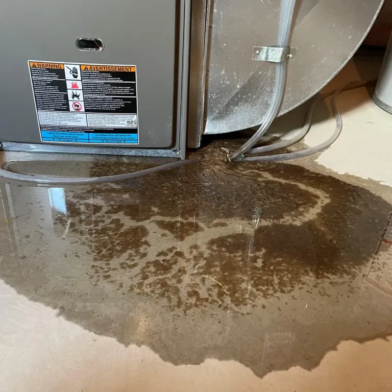 Appliance Leak Cleanup in Auburn, GA