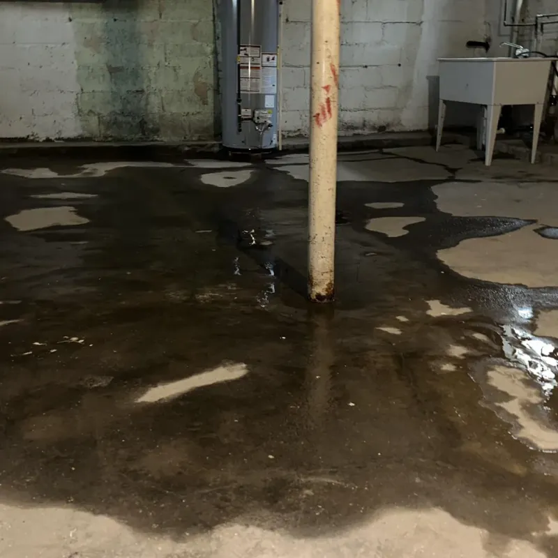 Emergency Water Extraction And Removal in Auburn, GA